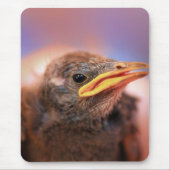 Baby Bird Mousepad (Vorne)