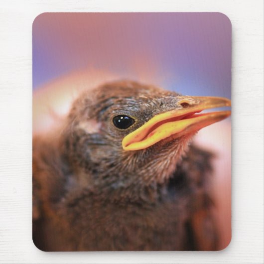 Baby Bird Mousepad (Vorne)