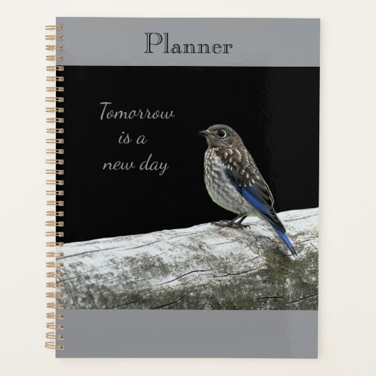 Baby Bird Planner Planer (Vorderseite)