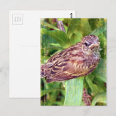 Baby Bird Postkarte (Vorne/Hinten)