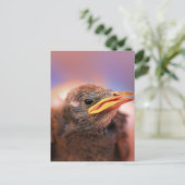 Baby Bird Postkarte (Stehend Vorderseite)