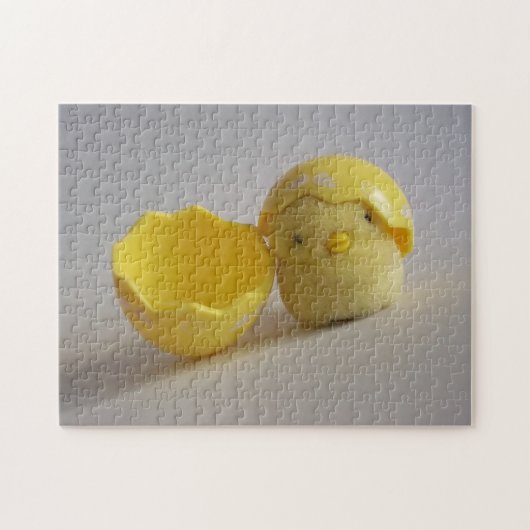Baby Bird Puzzle (Horizontal)