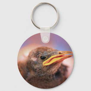 Baby Bird Schlüsselanhänger