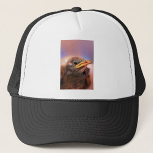 Baby Bird Truckerkappe