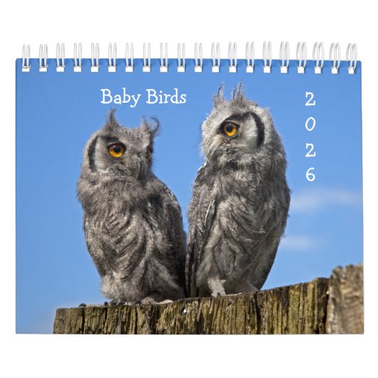 Baby Birds Calendar Kalender (Titelbild)