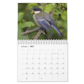 Baby Birds Calendar Kalender (Jan 2027)