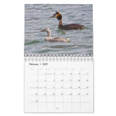 Baby Birds Calendar Kalender (Feb 2027)