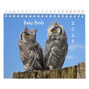 Baby Birds Calendar Kalender