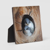 Baby Birds Fotoplatte (Vorderseite)