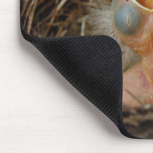 Baby Birds Mousepad (Ecke)