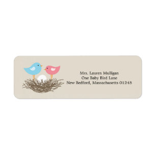 Baby Bird's Nest Baby Shower
