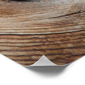 Baby Birds Poster (Ecke)