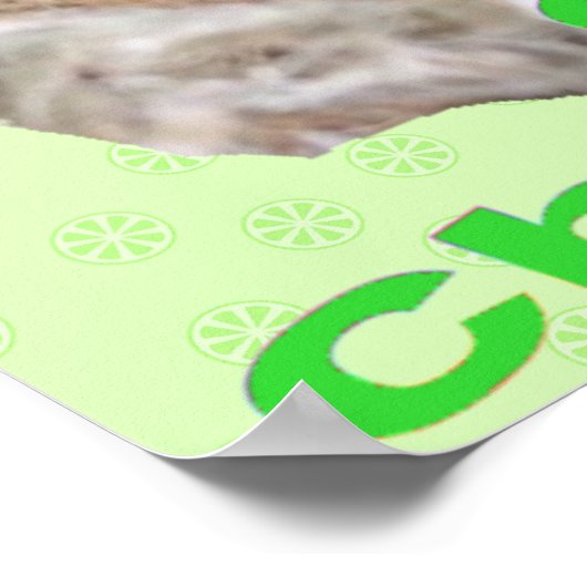 Baby Birds Poster (Ecke)