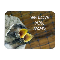 Baby Birds Premium Magnet