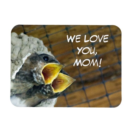 Baby Birds Premium Magnet (Horizontal)