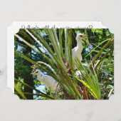 Baby Birrds Einladung (Vorne/Hinten)