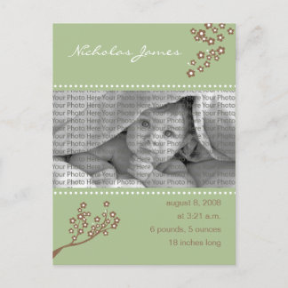 Baby Birth Announcement Sage Green Branch Design Ankündigungspostkarte