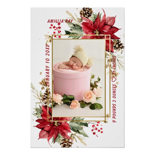Baby Birth Stats Photo Newborn Keepsake Nursery Poster (Vorderseite)