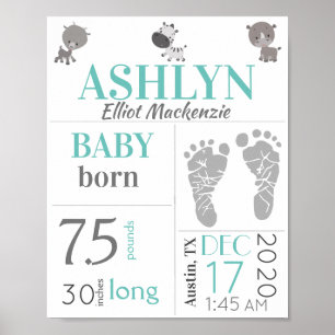 Baby Birth Stats Schildkröte und Zootiere Poster