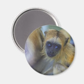 Baby Black Howler Monkey Magnet (Vorderseite/Rückseite)