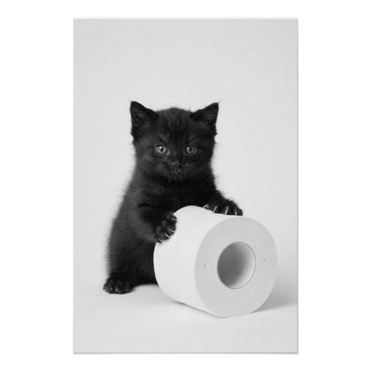 Baby Black Kitten Guarding Toilet Paper Roll On Poster (Vorderseite)