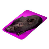 Baby Black Pig Magnet (Linke Seite)