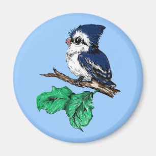Baby-Blauhäher-Magnet Magnet