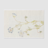 Baby Blue-Eyes von Margaret Armstrong Seidenpapier (Vorderseite)