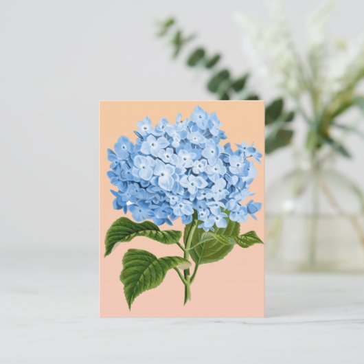 Baby Blue Hydrangea Postcard Postkarte (Stehend Vorderseite)