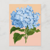 Baby Blue Hydrangea Postcard Postkarte (Vorderseite)