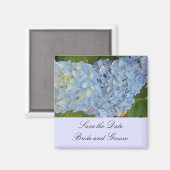 Baby Blue Hydrangeas Magnet (Vorderseite/Rückseite)