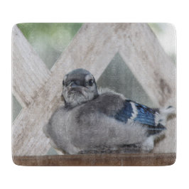 Baby Blue Jay Cutting Board Schneidebrett