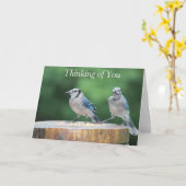 Baby Blue Jay Karte (Gelbe Blume)