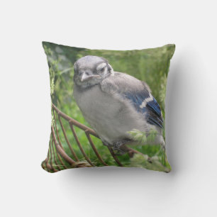 Baby Blue Jay Kissen