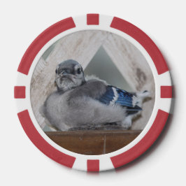 Baby Blue Jay Pokerchips