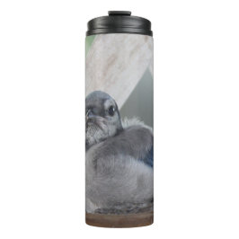 Baby Blue Jay Thermal Tumbler Thermosbecher