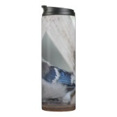 Baby Blue Jay Thermal Tumbler Thermosbecher (Nach rechts gedreht)