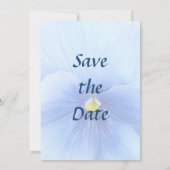 Baby Blue Pansy Save the Date (Rückseite)