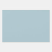 Baby Blue Rustic Romantic & Elegant Geschenkpapier Set (Vorderseite 2)