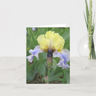 Baby Blue Yellow Small Blank Note Card Karte