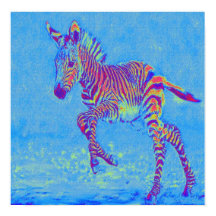 Baby Blue Zebra Laufen