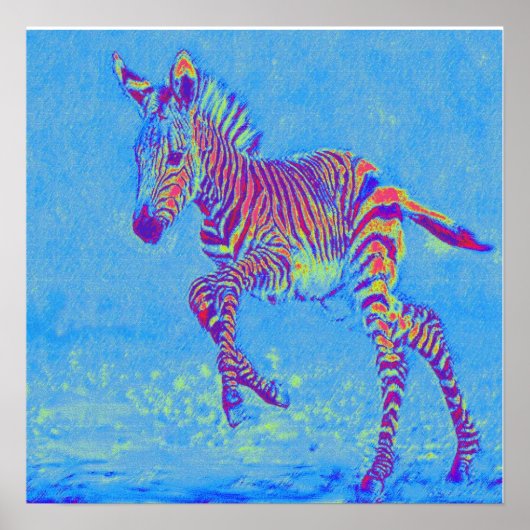 Baby Blue Zebra Laufen Poster (Vorne)