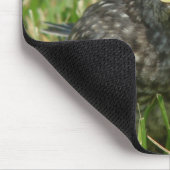 Baby Bluebird Mousepad (Ecke)