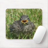 Baby Bluebird Mousepad (Mit Mouse)