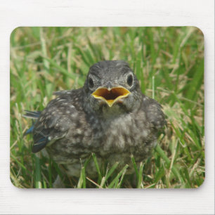 Baby Bluebird Mousepad