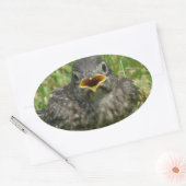 Baby Bluebird Ovaler Aufkleber (Umschlag)
