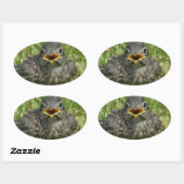 Baby Bluebird Ovaler Aufkleber (Blatt)