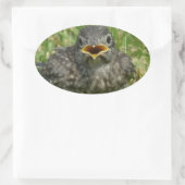 Baby Bluebird Ovaler Aufkleber (Tasche)