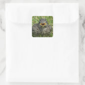 Baby Bluebird Quadratischer Aufkleber (Tasche)