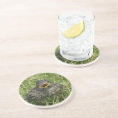 Baby Bluebird Sandstein Untersetzer (Seite)